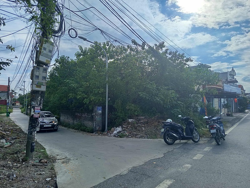 Bán Đất Mặt Đường 208 Vĩnh Khê, An Đồng, An Dương, Hải Phòng – Vị Trí Đẹp, Kinh Doanh Tốt